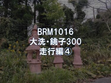 BRM1016大洗・銚子300 走行編④ PC3:銚子～PC4:芝山(254km)