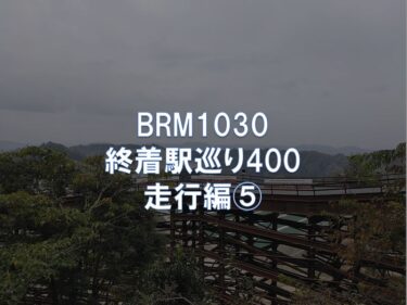 BRM1030終着駅巡り400 走行編⑤通過5:上総亀山駅～PC3:千城台駅(354km)