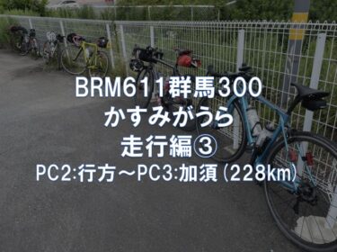 BRM611群馬300かすみがうら 走行編③PC2:行方～PC3:加須(228km)